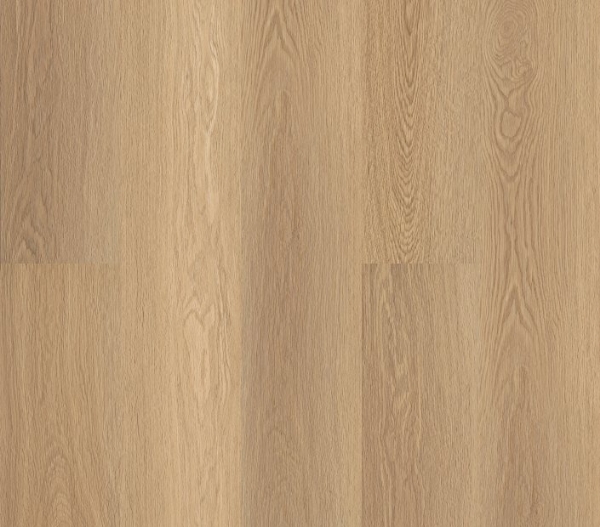 Picture of Philadelphia Commercial by Shaw - Fortitude Castaway