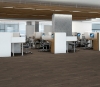Picture of Philadelphia Commercial by Shaw - In the Grain II 20 Wheat