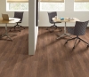 Picture of Philadelphia Commercial by Shaw - In the Grain II 20 Sandalwood