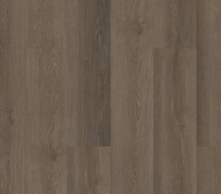 Picture of Philadelphia Commercial by Shaw - Indwell 20 Seneca Oak