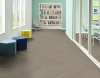 Picture of Philadelphia Commercial by Shaw - Philosophers Tree Travertine