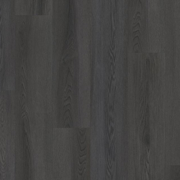 Picture of Philadelphia Commercial by Shaw - Philosophers Tree Igneous