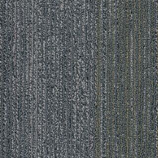 Picture of Patcraft - Color Filter 9 x 36 Reflect