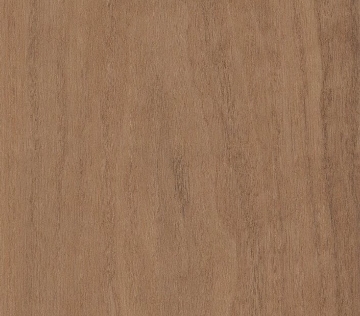 Picture of Philadelphia Commercial by Shaw - Quietude Subdued Sienna