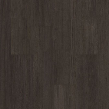Picture of Philadelphia Commercial by Shaw - Silva Valley 5.0 Iron Mountian