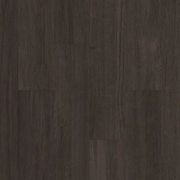 Picture of Philadelphia Commercial by Shaw - Silva Valley 5.0 Iron Mountian