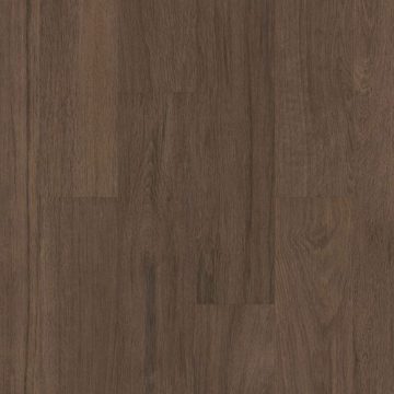 Picture of Philadelphia Commercial by Shaw - Silva Valley 5.0 Saguaro