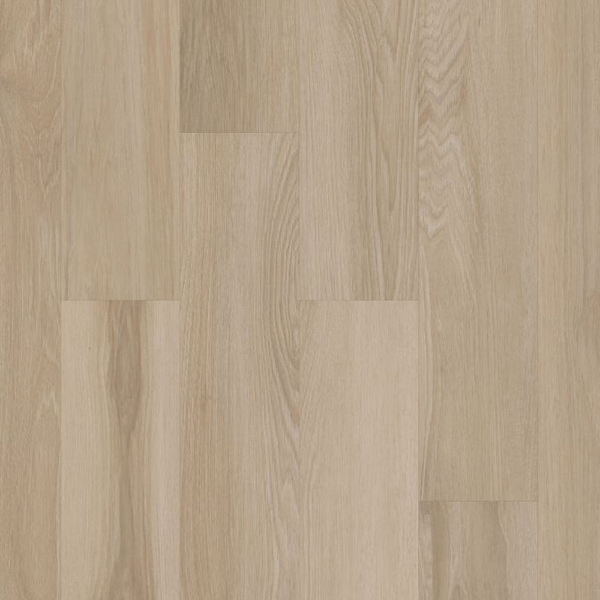 Picture of Philadelphia Commercial by Shaw - Silva Valley 5.0 White Sands