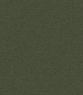 Picture of Mohawk - New Basics III 26 Forest
