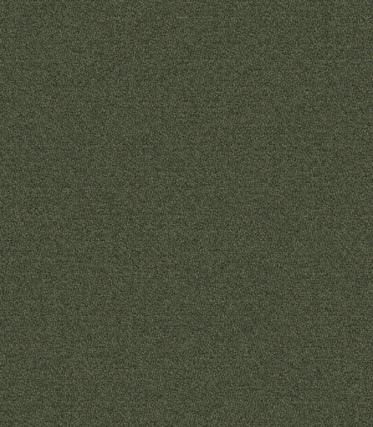 Picture of Mohawk - New Basics III 26 Forest
