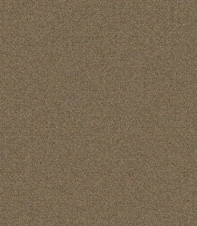 Picture of Mohawk - New Basics III 26 Biscotti Crunch