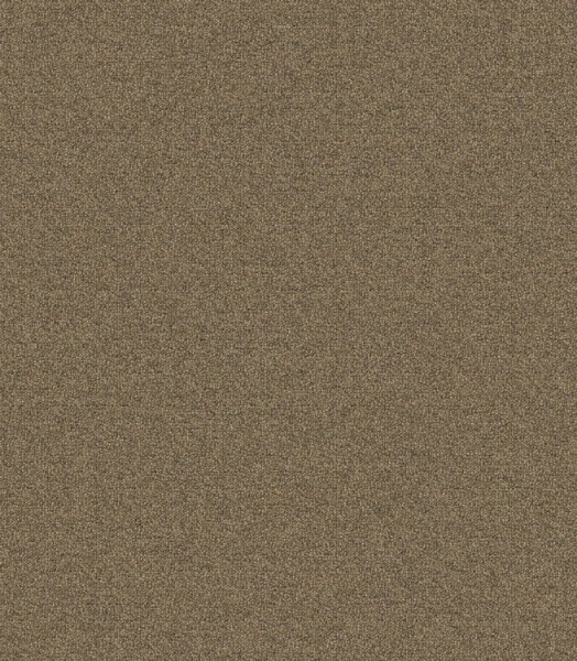 Picture of Mohawk - New Basics III 26 Biscotti Crunch