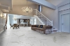 Picture of Happy Floors - Statuario 24 x 48 Statuario Glossy