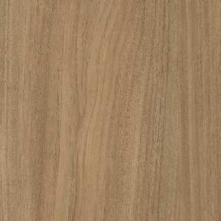 Picture of Patcraft - Treeline Acoustic Honey V2