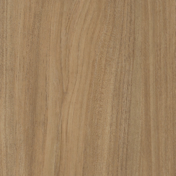 Picture of Patcraft - Treeline Acoustic Honey V2