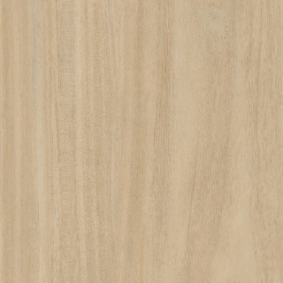 Picture of Patcraft - Treeline Acoustic Cream V2