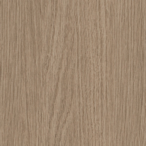 Picture of Patcraft - Treeline Acoustic Ginger V2