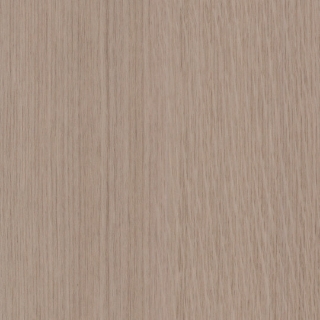 Picture of Patcraft - Wood + Weald Elm-V2