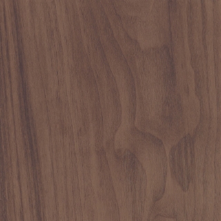 Picture of Patcraft - Wood + Weald Acorn-V2