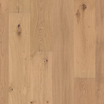 Picture of Shaw Floors - Perspectives Harmony