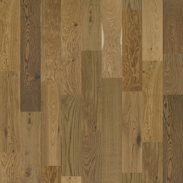 Picture of Shaw Floors - Perspectives Prose