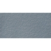 Picture of Milestone - Urban Living 12 x 24 Raw Coastal
