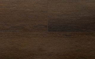 Picture of Audacity - Symphony Osbourne