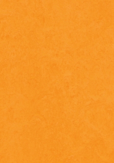 Picture of Forbo - Marmoleum Cinch Loc Seal 12 x 12 Marigold