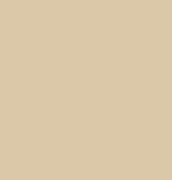 Picture of Shaw Floors - 174CA  Wall Base Flax