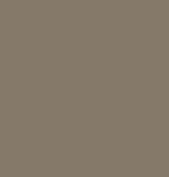 Picture of Shaw Floors - 174CA  Wall Base Earthen
