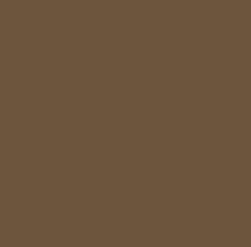 Picture of Shaw Floors - 174CA  Wall Base Bark
