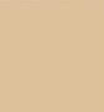 Picture of Shaw Floors - 174CA  Wall Base Tan