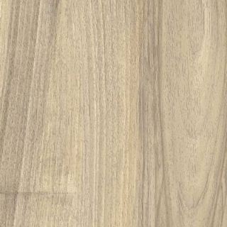 Picture of Castelvetro - More 12 x 48 Miele