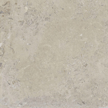 Picture of Happy Floors - Coralina 24 x 24 Beige