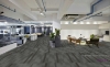 Picture of Pentz - Amplify Plank Carob