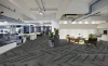 Picture of Pentz - Amplify Plank Matte Lake