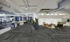 Picture of Pentz - Amplify Plank Midnight
