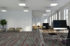 Picture of Pentz - Amplify Plank Crimson