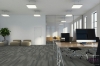 Picture of Pentz - Amplify Plank Cloud