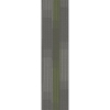 Picture of Pentz - Amplify Plank Parrot