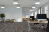 Picture of Pentz - Amplify Tile Chili Red