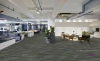 Picture of Pentz - Amplify Tile Parrot