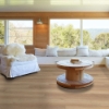 Picture of Shaw Floors - Endura Plus White Sand