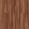 Picture of Pentz - Boulevard Sugar Maple