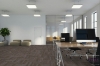 Picture of Pentz - Boulevard Woodland Taupe