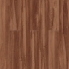 Picture of Pentz - Avenue Sugar Maple