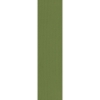 Picture of Pentz - Colorburst Plank Parrot