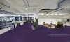 Picture of Pentz - Colorburst Plank Royal Purple