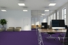 Picture of Pentz - Colorburst Plank Royal Purple