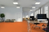 Picture of Pentz - Colorburst Plank Sunburst